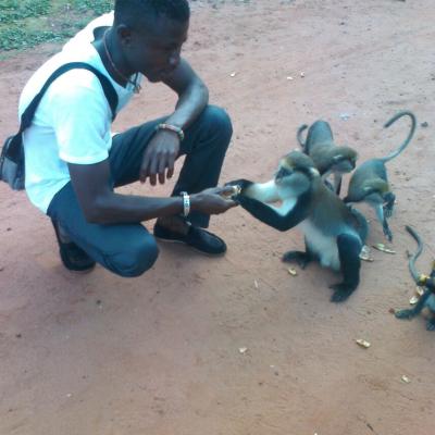 Monkey Sanctuary 16 20160520 1620665259