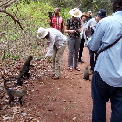 Monkey Sanctuary 18 20160520 1758221312