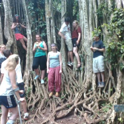 Monkey Sanctuary 26 20160520 1318826992