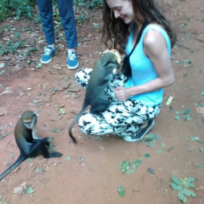 Monkey Sanctuary 8 20160520 1440825778